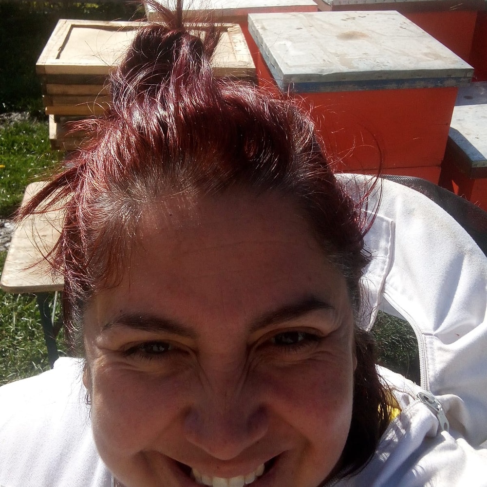 Las primeras abejas en la parcela