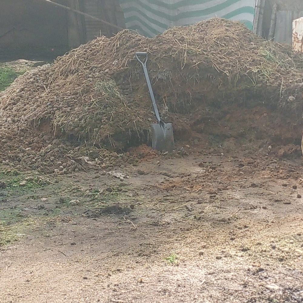El compost